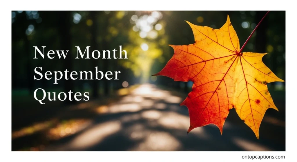 New Month September Quotes