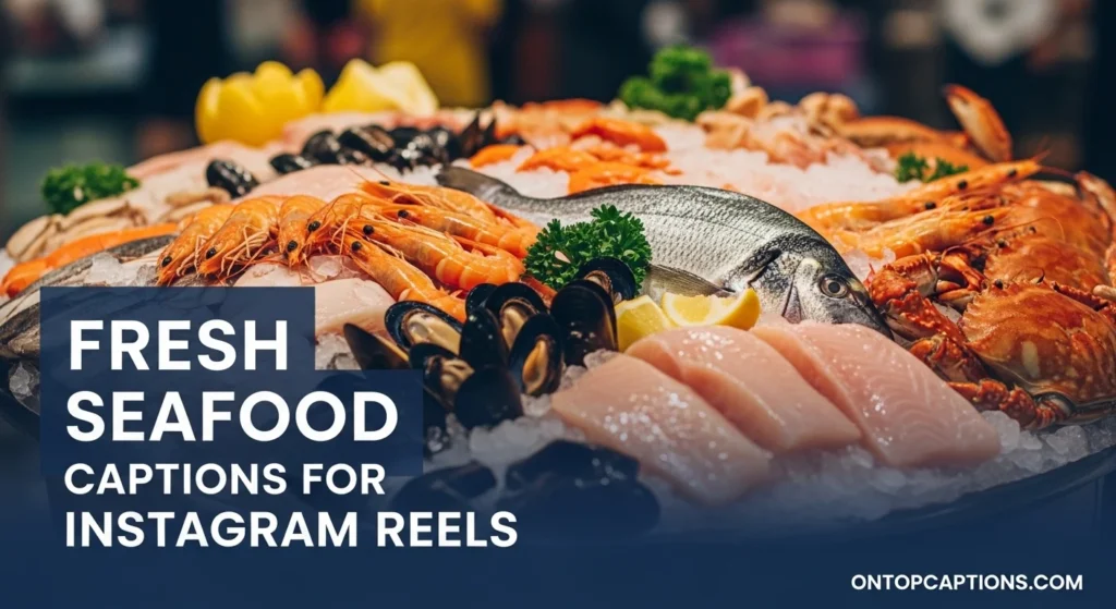 Fresh Seafood Captions for Instagram Reels
