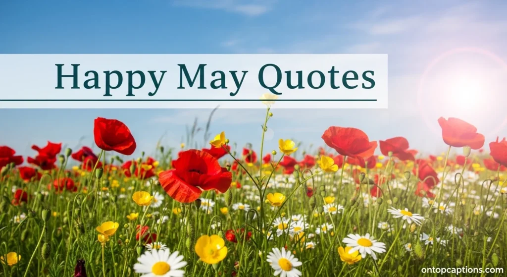 Happy May Quotes