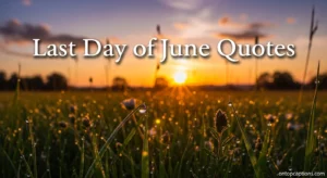 820+ Last Day of June Quotes