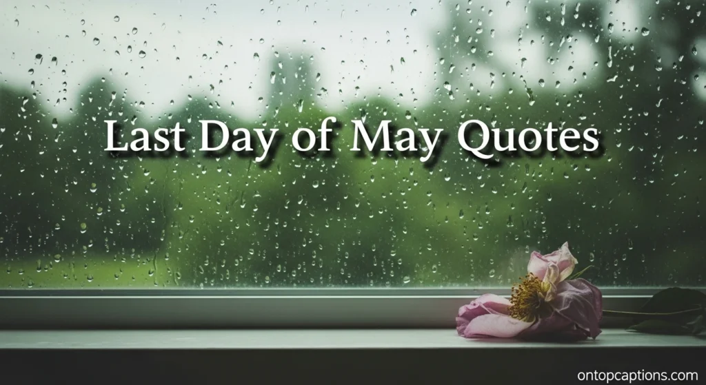 Last Day of May Quotes