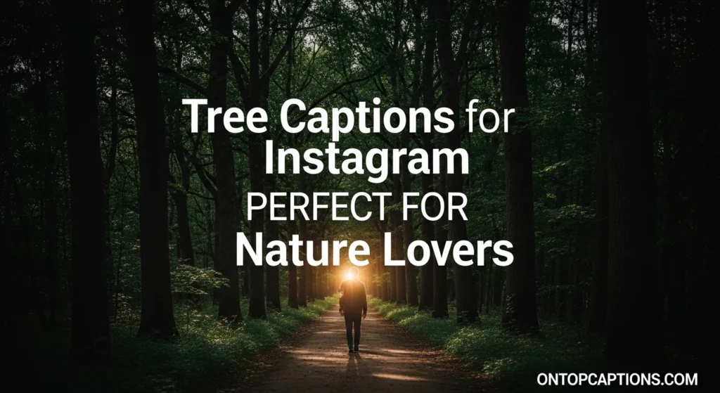 Tree Captions for Instagram Perfect for Nature Lovers