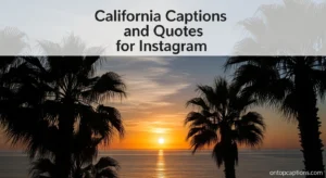 220+ California Captions and Quotes for Instagram